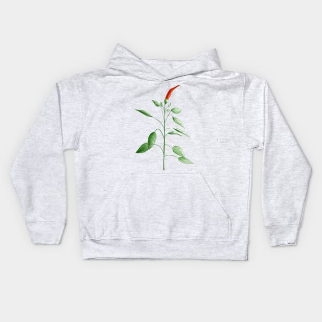 Hot Chili Pepper Plant Botanical Drawing Kids Hoodie by Boriana Giormova